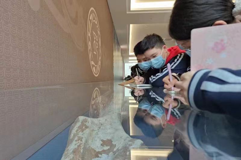 邳州博物馆迎来莘莘学子参观热潮