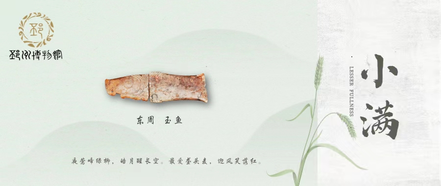 【邳博大课堂】二十四节气 · 小满