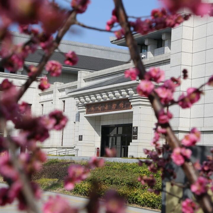 春假限定邀约｜6000年邳州故事，我们讲给你听